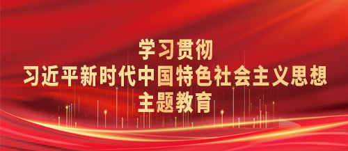 学习贯彻习近平新时代中国特色社会主义思想主题教育 